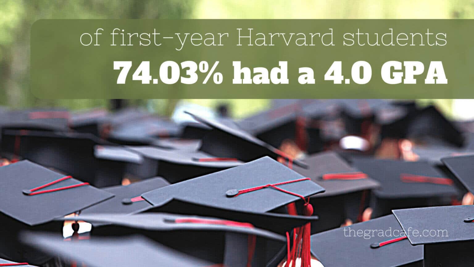 Harvards Gpa Advantage Do You Have It - brakq0o