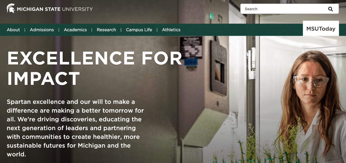 Michigan State University, Master of Science in Criminal Justice