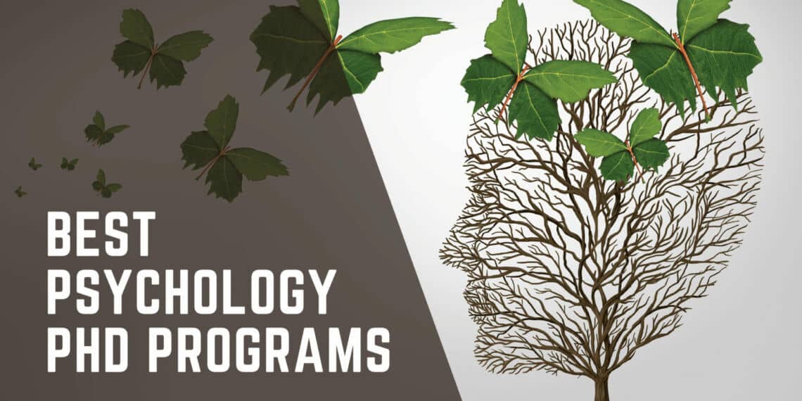 Top 5 Best Psychology PhD Programs in 2024 The Gradcafe