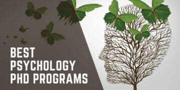 Top 5 Best Psychology PhD Programs in 2024